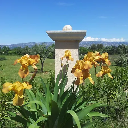 Bed & Breakfast Lamanderie En Provence Alleins